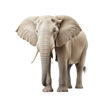 AI generated Elephant clip art png