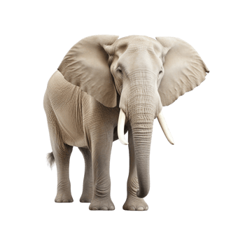 AI generated Elephant clip art png