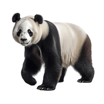 AI generated Panda clip art png