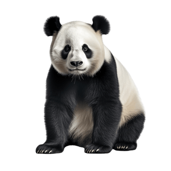 AI generated Panda clip art png