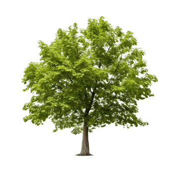 AI generated Common hazel bush clip art png