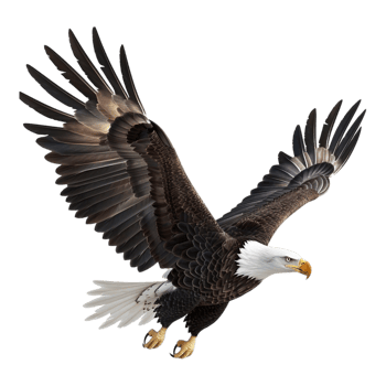 AI generated 3D Rendering of a American Eagle on Transparent Background - Ai Generated png