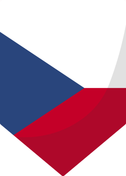 Czech flag pennant 3D cartoon style. png