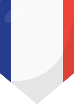 France flag pennant 3D cartoon style. png