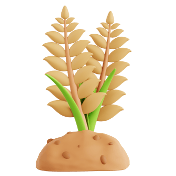 Wheat Farming 3D Icon Illustration png