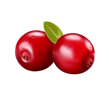 AI generated Cranberry clip art png