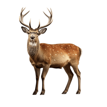 AI generated Deer clip art png