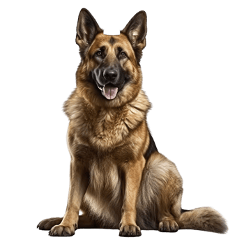 AI generated Dog clip art png