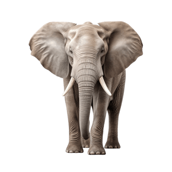 AI generated Elephant clip art png