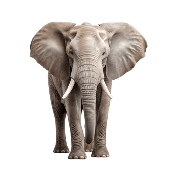 AI generated Elephant clip art png