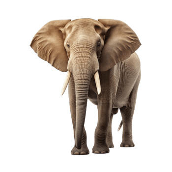 AI generated Elephant clip art png