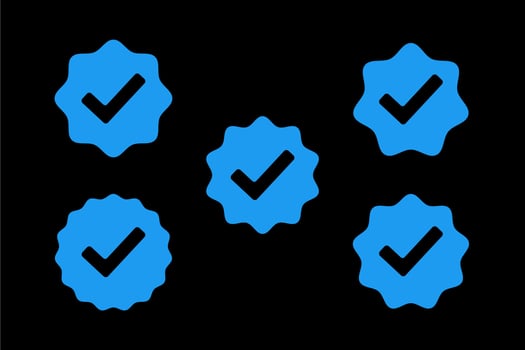 Set of verified check blue icons vectors