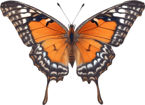 AI generated Colorful and elegant butterfly image. png