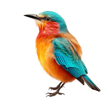 AI generated Bird against transparent background - Ai generated png
