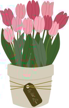 pink tulip flowers plant in pot with love element clipart hand drawn vector illustration for decorate invitation greeting birthday party celebration wedding card poster banner background