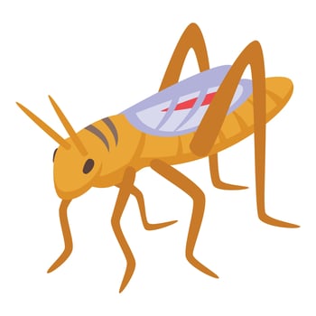 Art grasshopper animal bug icon isometric vector. Ant insect vector