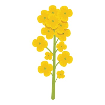 Agriculture organic plant icon cartoon vector. Rapeseed plant vector