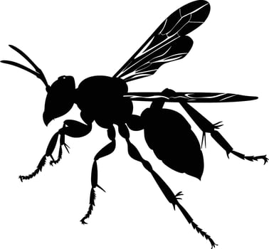 AI generated Silhouette wasp animal black color only full body vector