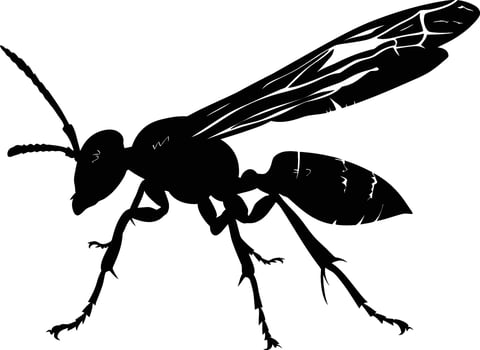 AI generated Silhouette wasp animal black color only full body vector