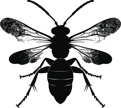 AI generated Silhouette wasp animal from top black color only full body vector