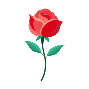 red rose flower vector illustration isolated on white background