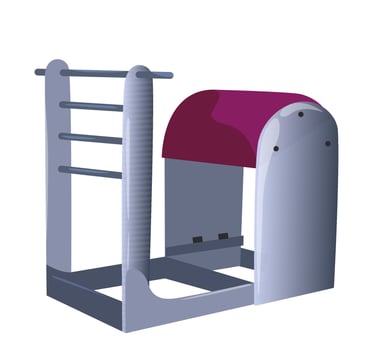 The barrel ladder is a Pilates machine. White background. Vector illustration