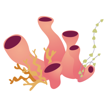 Marine plant stickers png