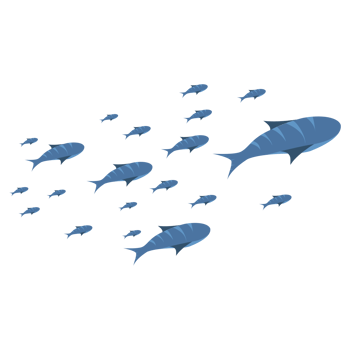 a group of sea fish png