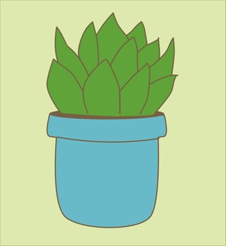 succulent house plant vector