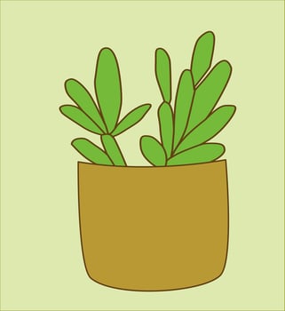 indoor plant vector