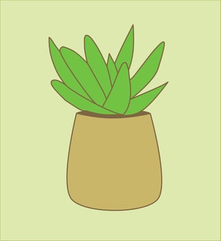 succulent house plant vector