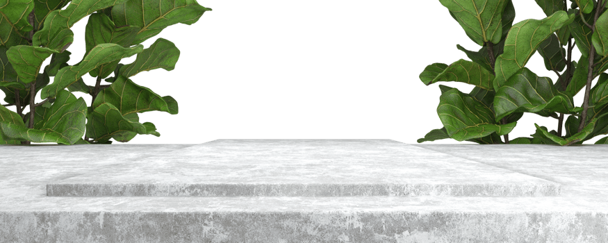 Mockup step concrete stage floor tropic plant backgrounds 3d rendering illustration background png file