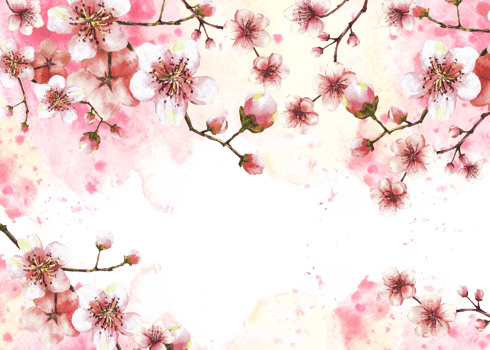 A blossoming branch from spring tree template illustration. Hand drawn blossoms sakura, cherry or apple buds and flowers on watercolor stain splashes background Springtime banner illustration png