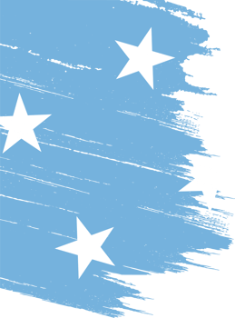 Micronesia flag  brush png