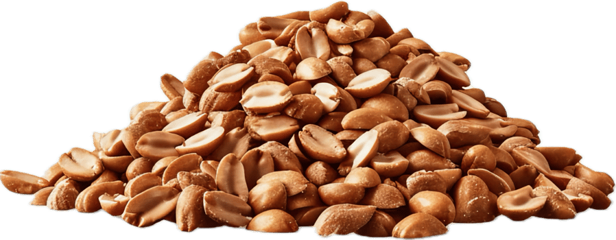 AI generated Salted Roasted Cashew Nuts Heap png