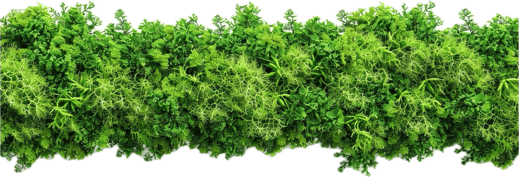 AI generated Lush Greenery Wall for Garden Decoration png