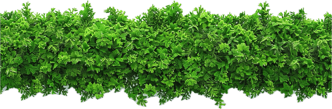 AI generated Lush Greenery Wall for Garden Decoration png