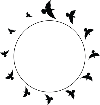 Flying birds silhouettes pattern wallpaper. PNG transparent. isolated bird flying. tattoo design. template for card, package, and wallpaper.