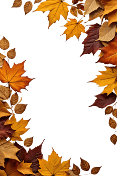 dry leaves frame border transparent background png