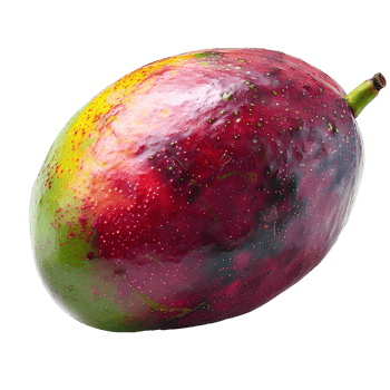 AI generated Mango PNG. Tropical fruit mango isolated. Mango slices PNG. Mango top view PNG. Mango flat lay PNG