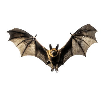 AI generated Full body flying bat png
