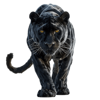 AI generated Black panther isolated on transparent background png