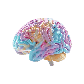 AI generated Colorful brain isolated on transparent background png