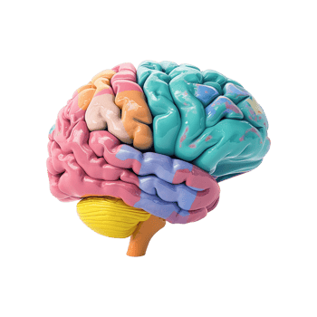 AI generated Colorful brain isolated on transparent background png