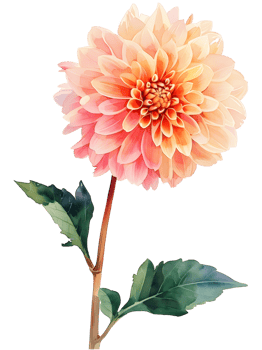 AI generated Watercolor bouquet chrysanthemum, november birth month flower, design for prints and cards png
