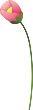 floral elements. Flower and green leaves. Wedding concept png