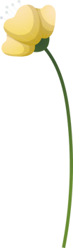 floral elements. Flower and green leaves. Wedding concept png
