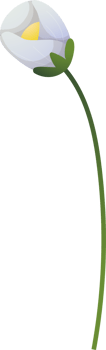 floral elements. Flower and green leaves. Wedding concept png