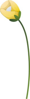 floral elements. Flower and green leaves. Wedding concept png