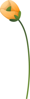 floral elements. Flower and green leaves. Wedding concept png